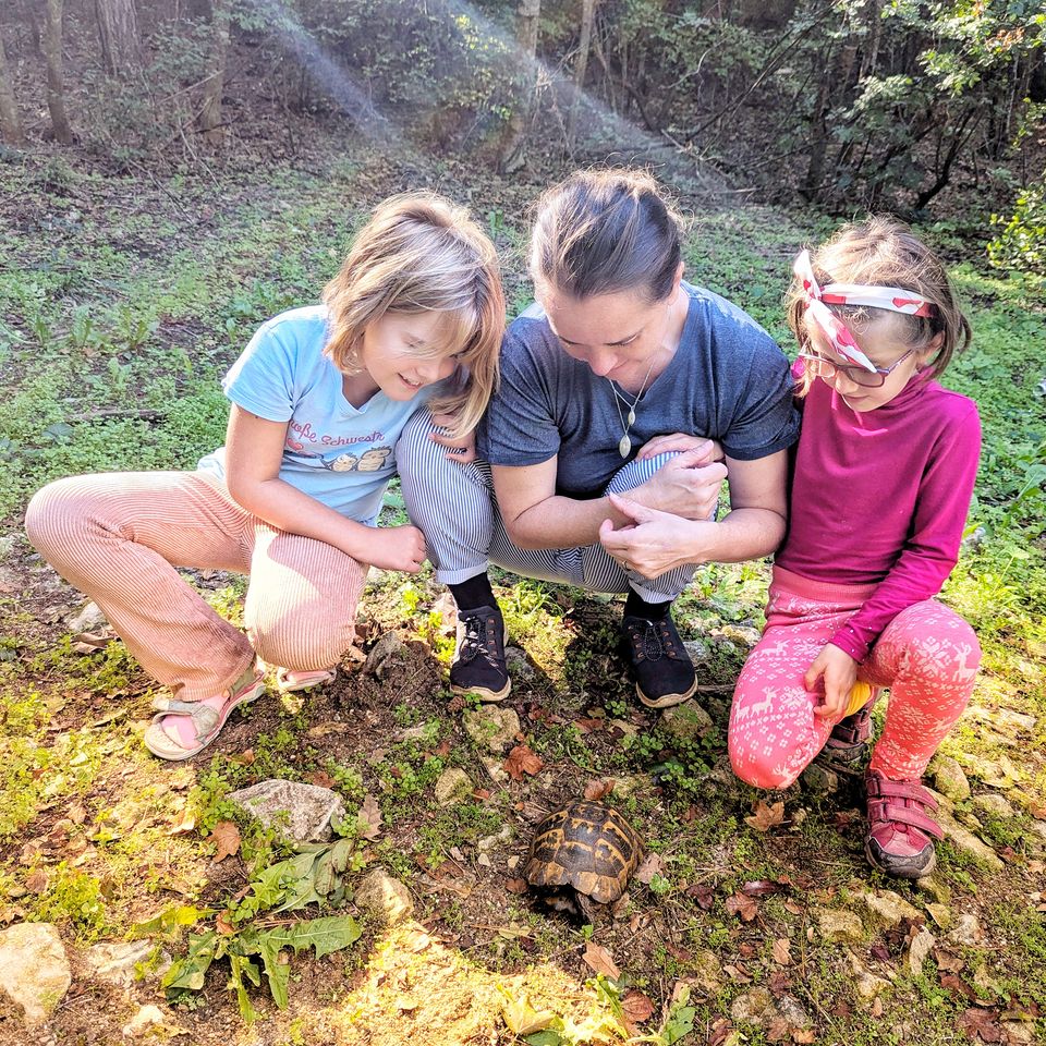 Schildkröte im Wald bei einer Wanderung in der Umgebung von Obzor
